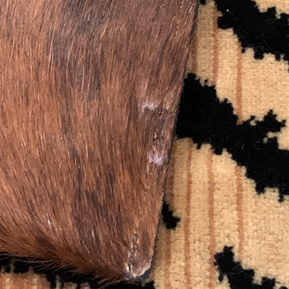 Cow Girl Pouch w/ Crystals - Picture 6 of 12